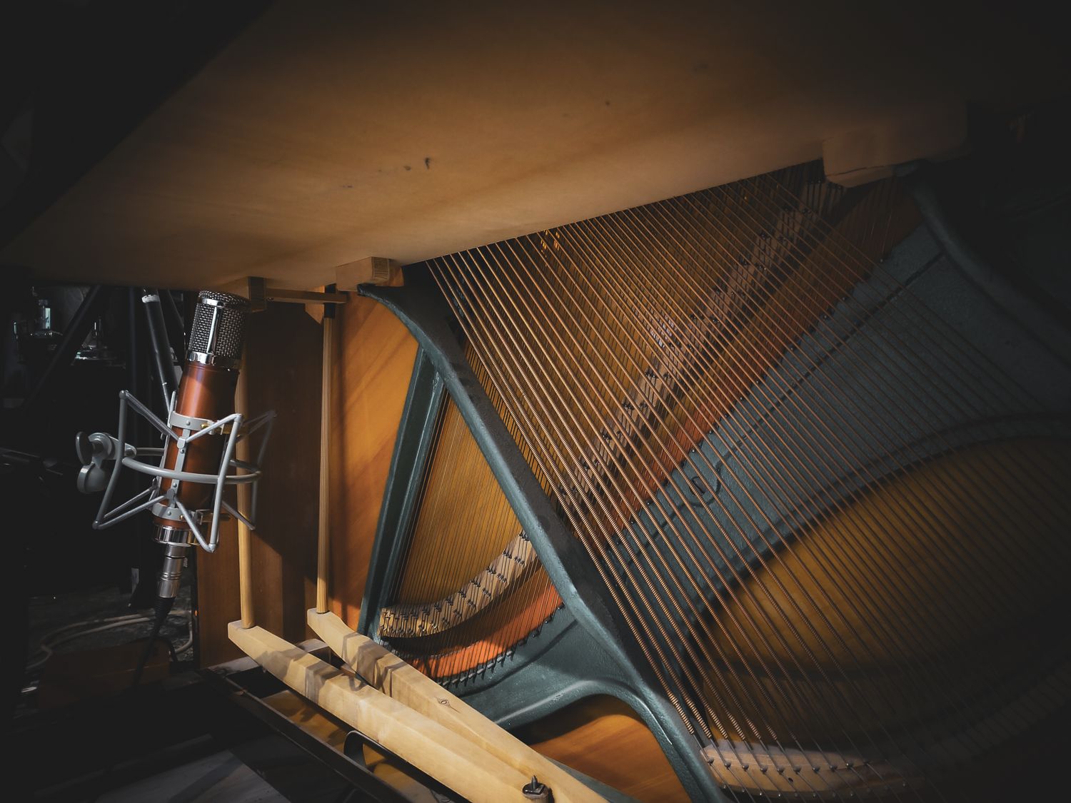The modified CV-12 tube microphone in a shock mount, beside the cast-iron plate and strings
